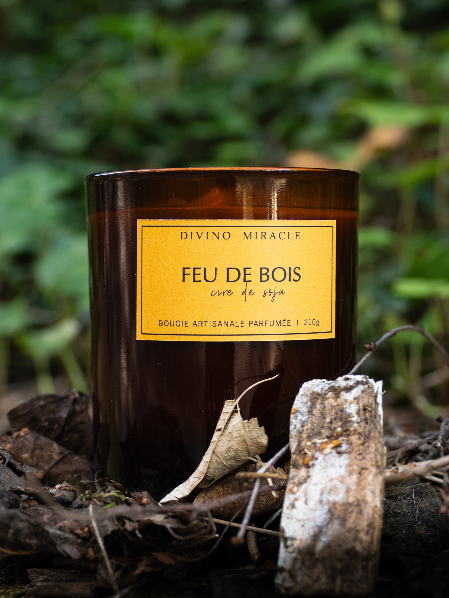 Feu de bois