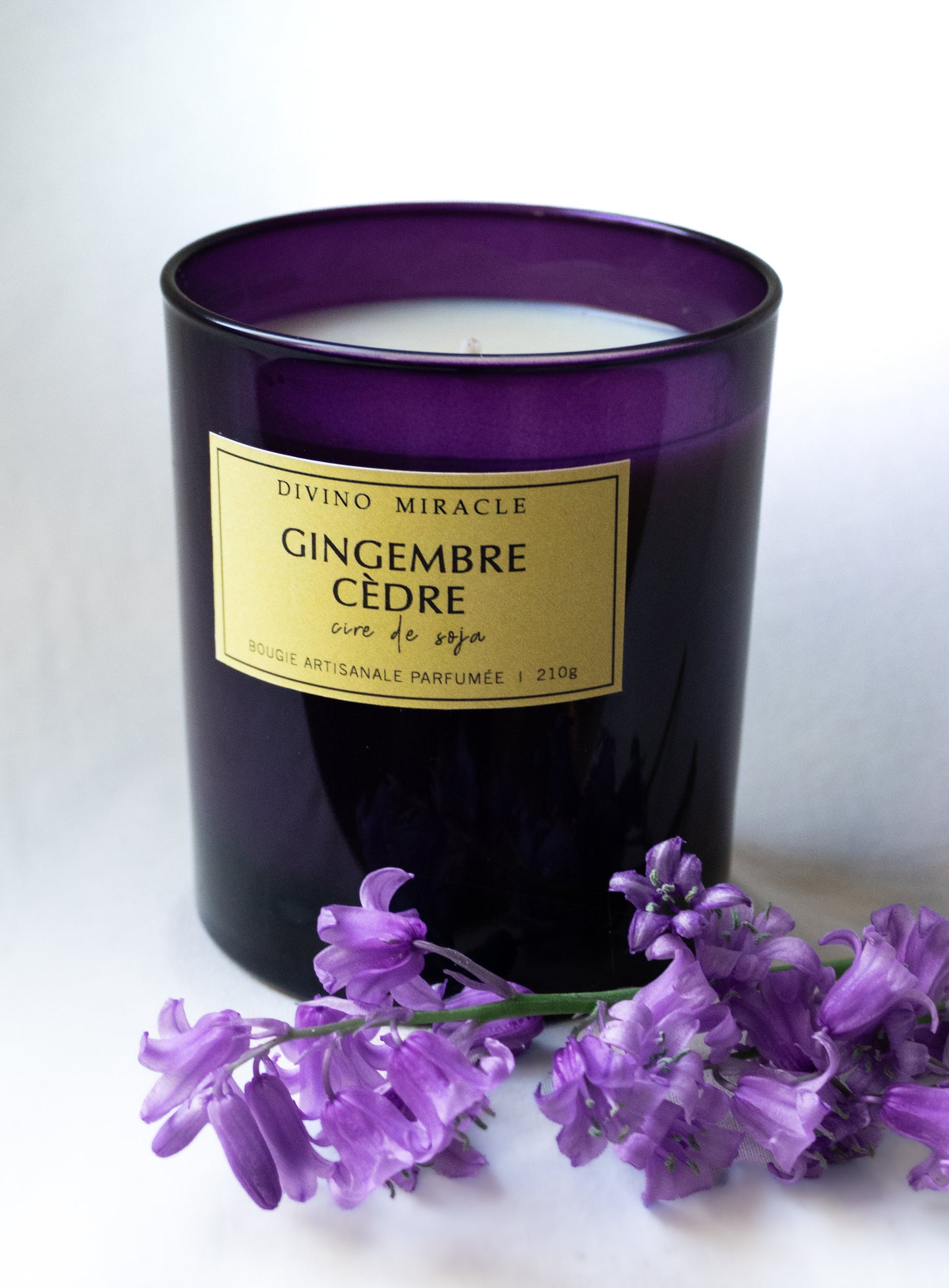 Gingembre cèdre
