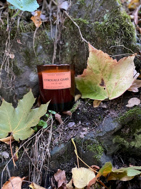 Citrouille Givrée