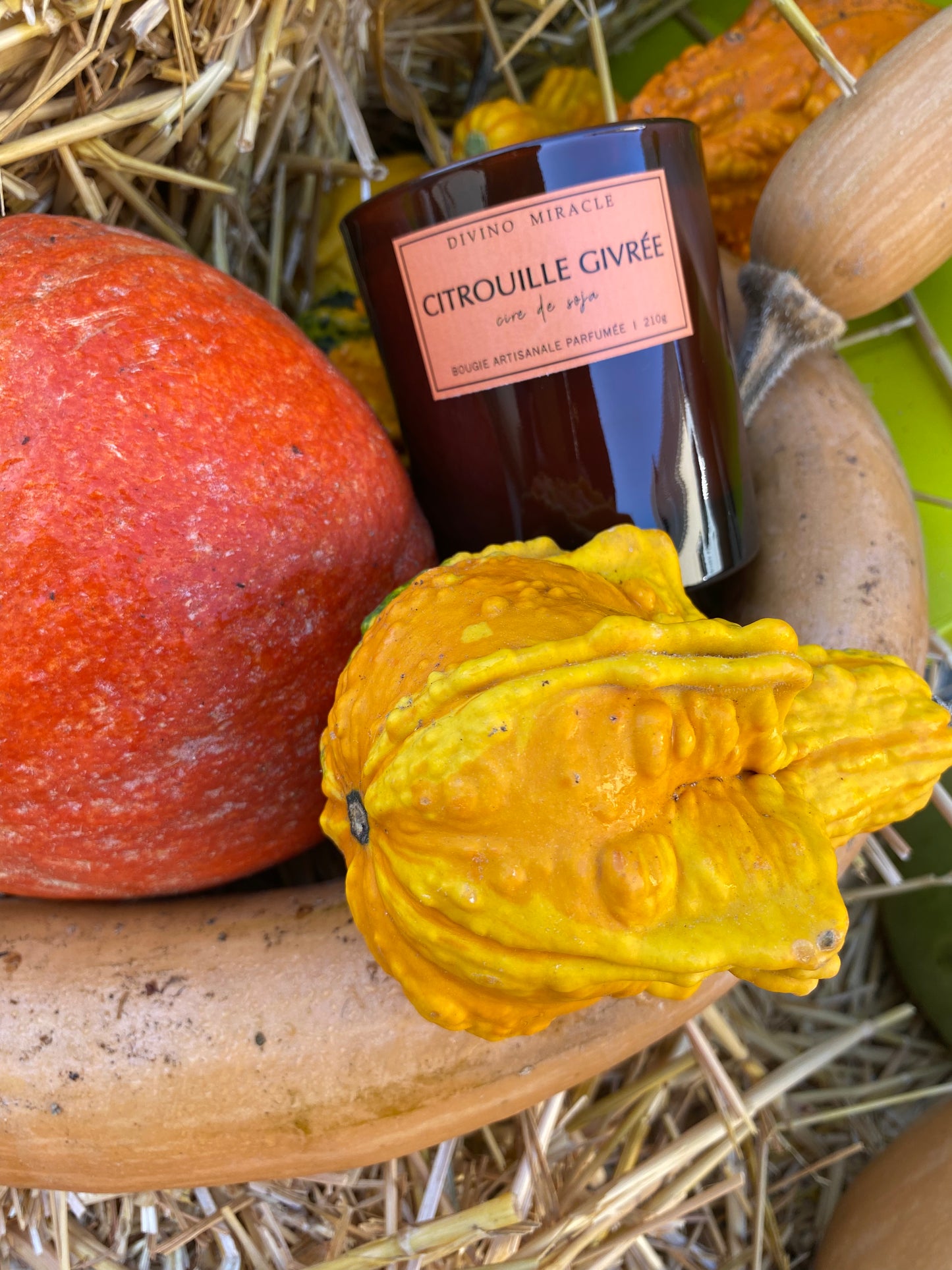 Citrouille Givrée