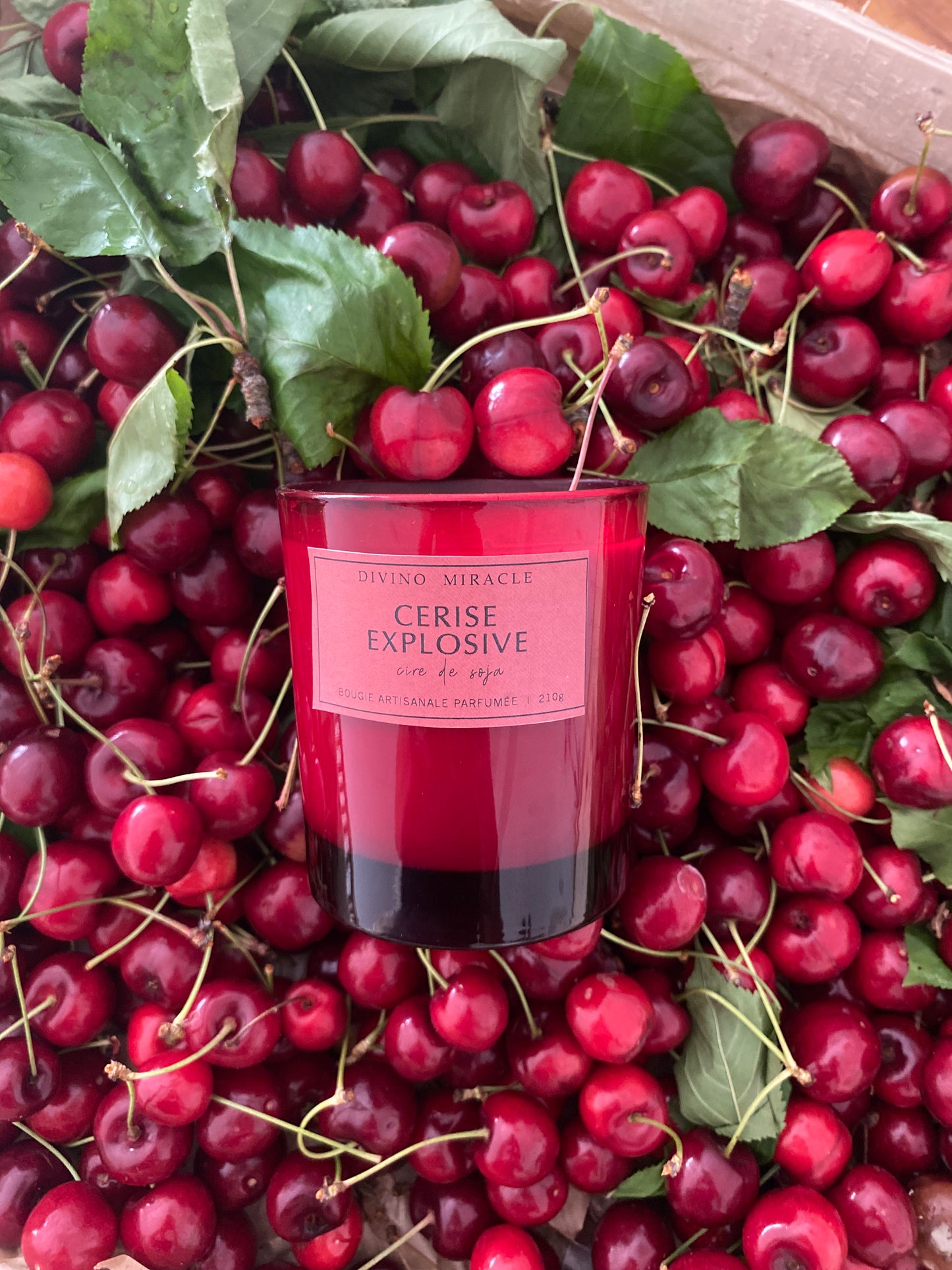 Cerise explosive