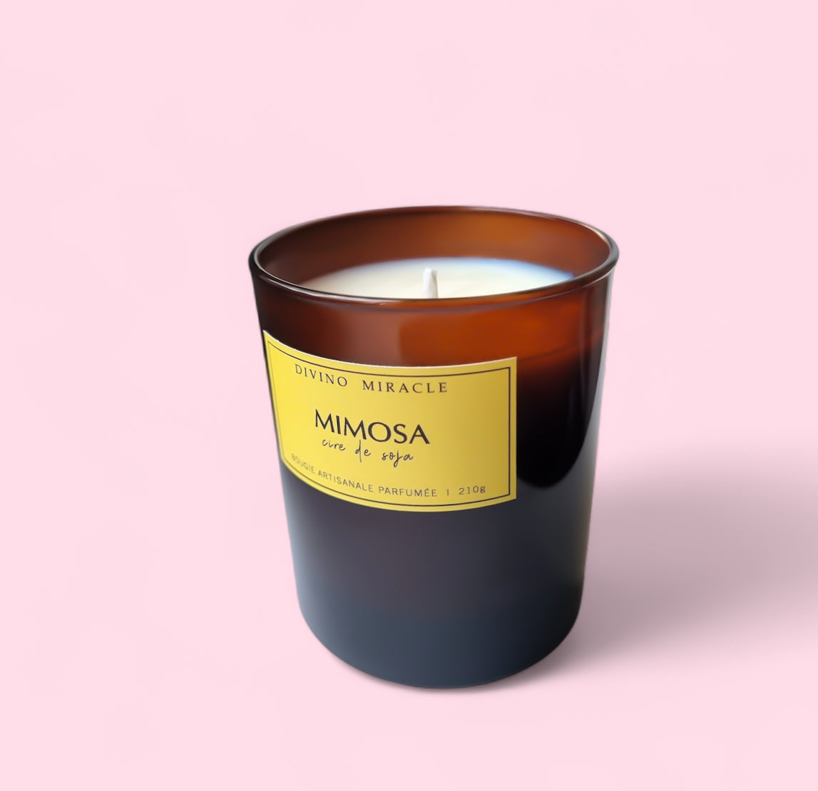 Mimosa