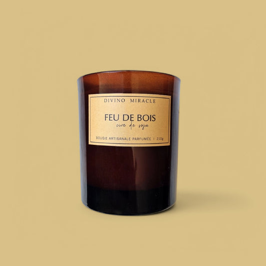 Feu de bois