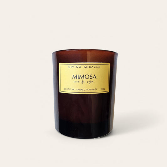 Mimosa