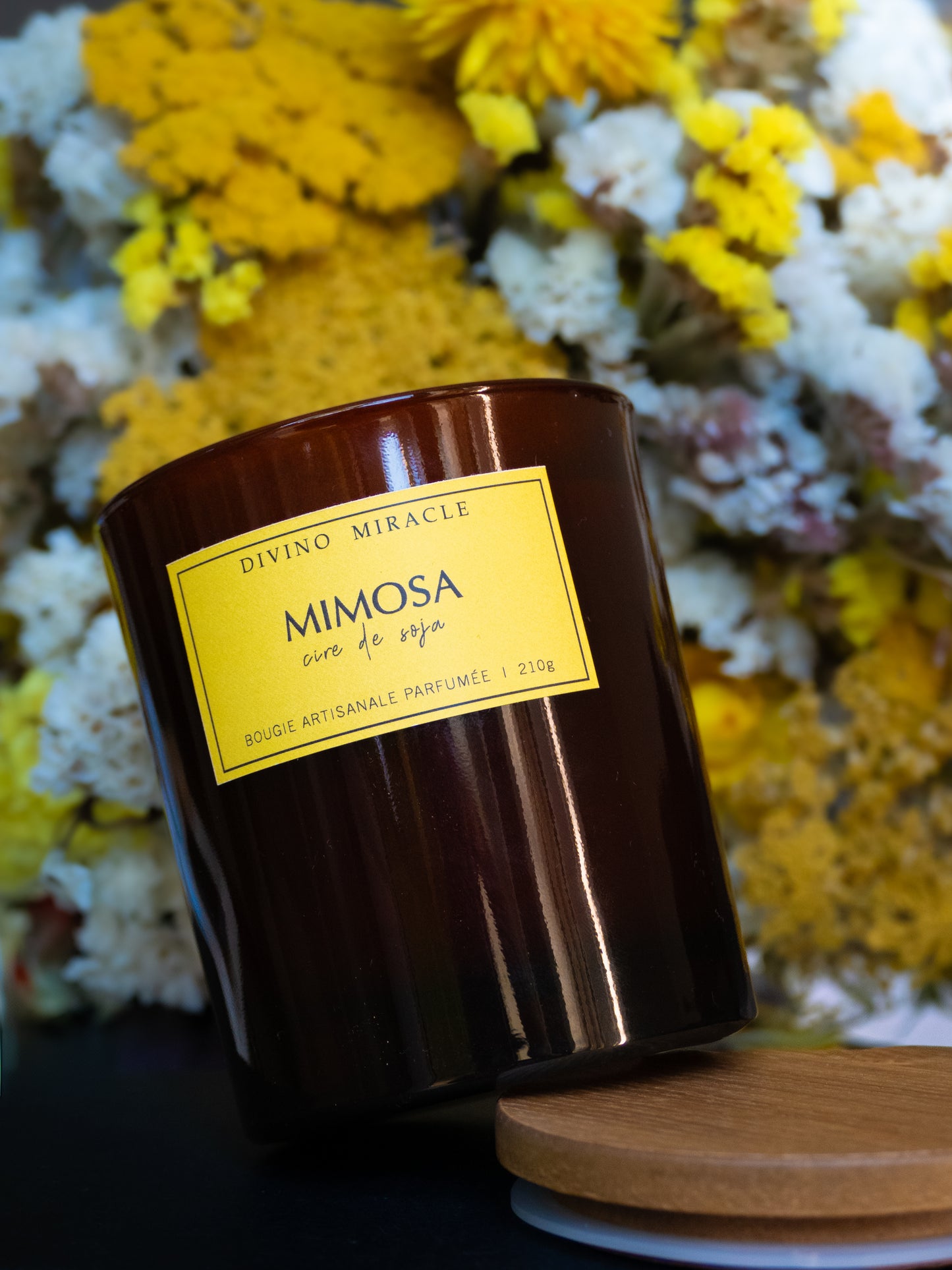 Mimosa