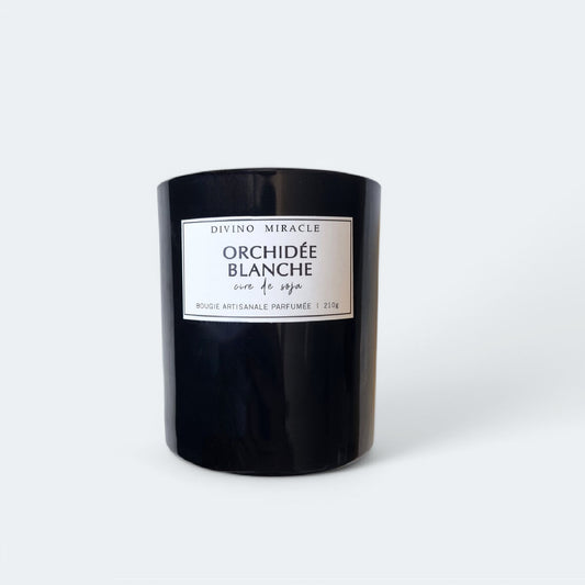 Orchidée blanche
